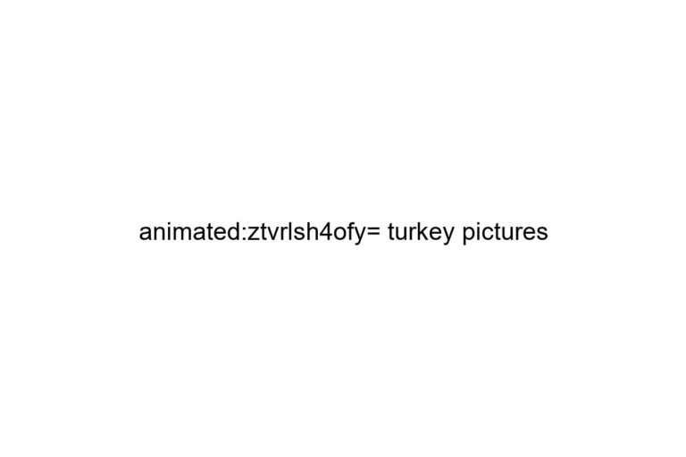 animated ztvrlsh4ofy turkey pictures
