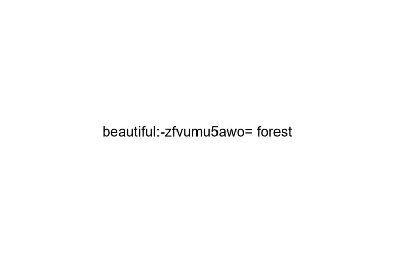 beautiful zfvumu5awo forest