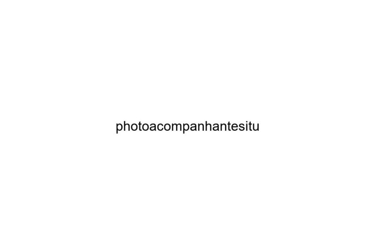 photoacompanhantesitu