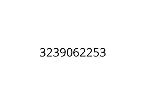 3239062253