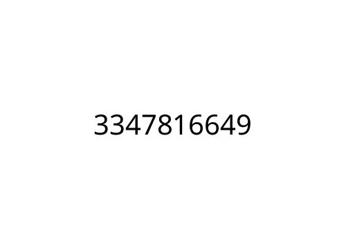 3347816649