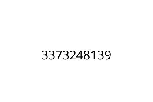3373248139