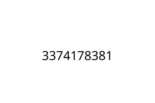 3374178381