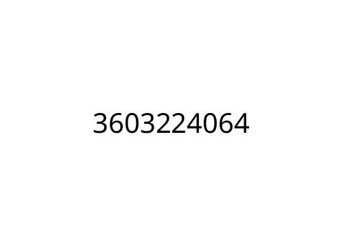 3603224064
