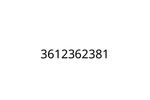 3612362381
