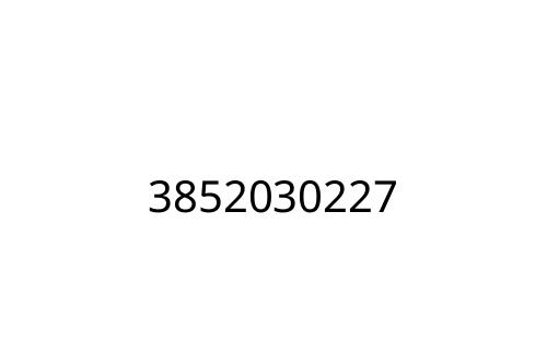 3852030227