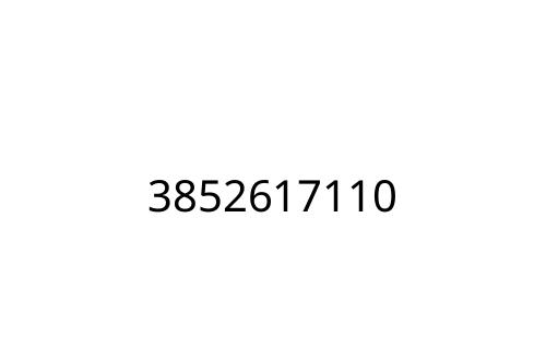 3852617110