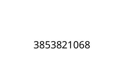 3853821068