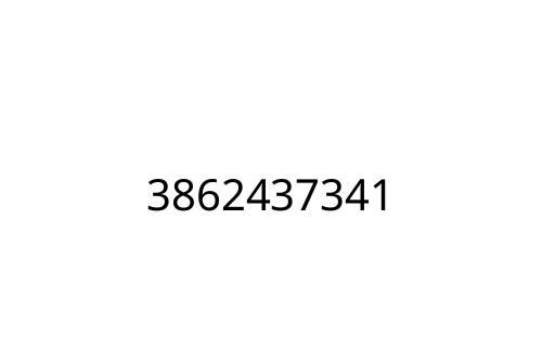 3862437341
