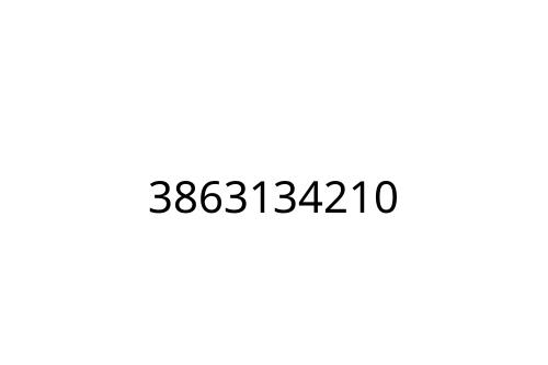 3863134210