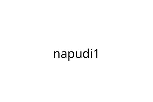 napudi1