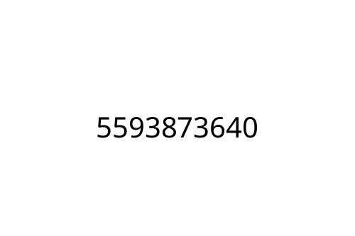 5593873640