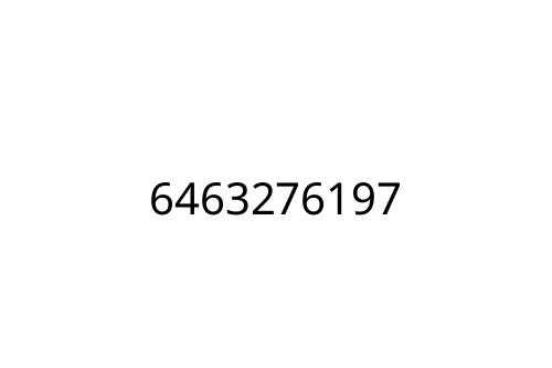 6463276197