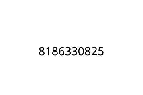 8186330825