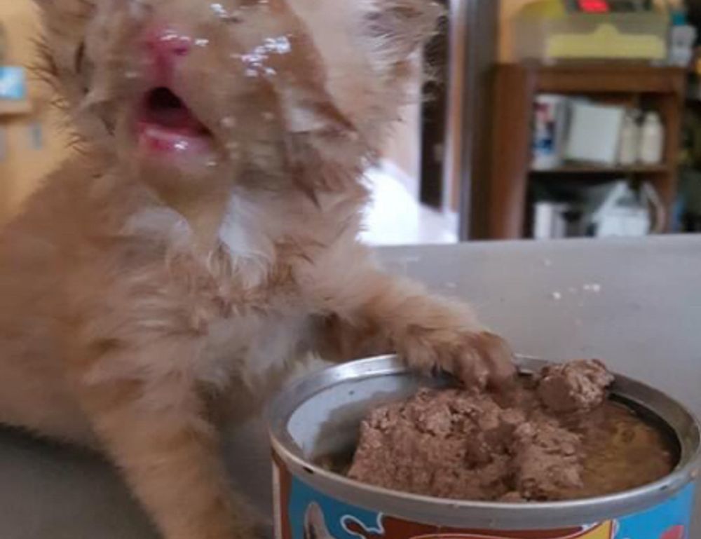 1zy549vdwefaqwd54670