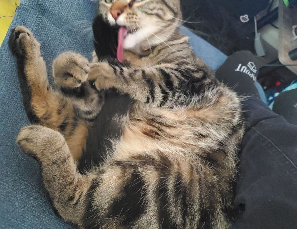 3c31500tlaa0101000106000002