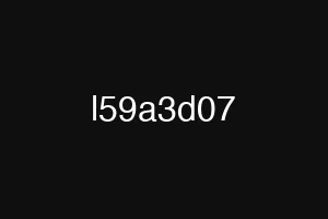 l59a3d07