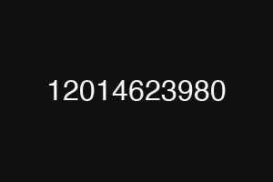 12014623980