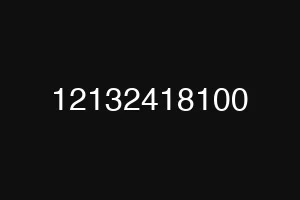 12132418100