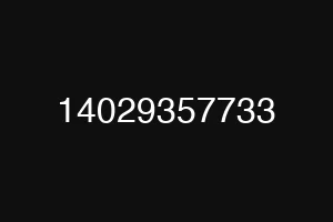 14029357733
