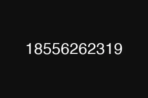 18556262319