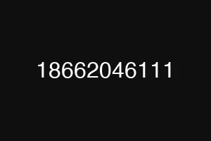 18662046111
