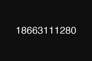 18663111280