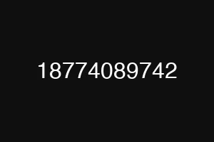 18774089742