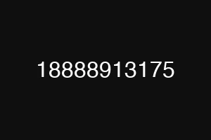 18888913175
