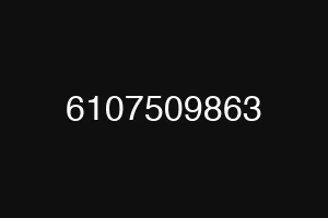 6107509863