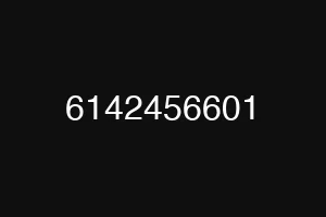 6142456601