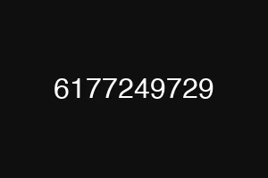 6177249729