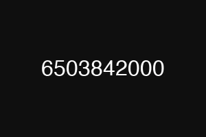 6503842000