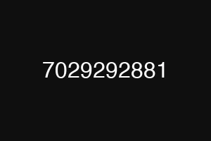 7029292881