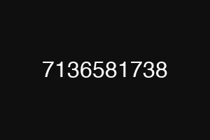7136581738