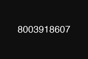 8003918607