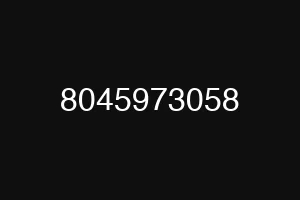 8045973058
