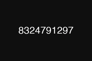 8324791297