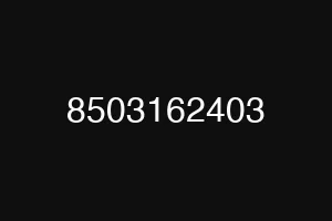8503162403