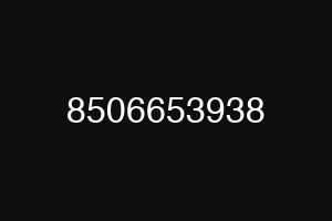 8506653938