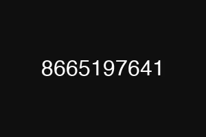 8665197641
