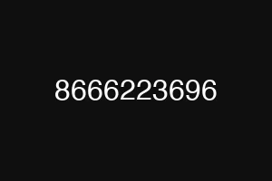 8666223696