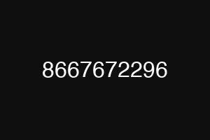 8667672296