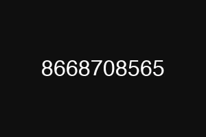 8668708565