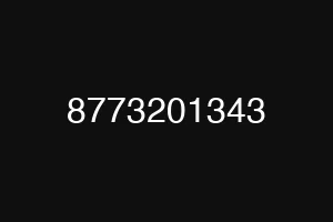 8773201343