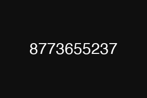 8773655237