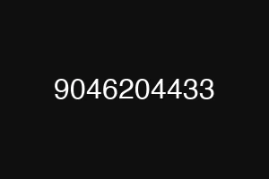 9046204433