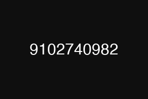 9102740982