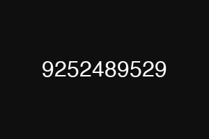 9252489529